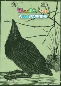 空壳飞机是哪个国家